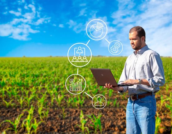 Imagem ilustrativa de um homem com um notebook em um campo de plantação